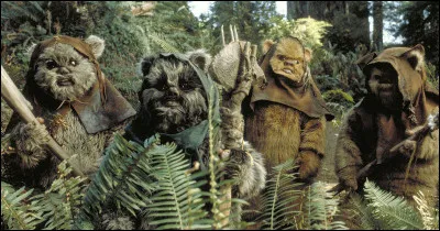 C'est une lune forestière. C'est la planète des Ewoks, théâtre de l'affrontement entre les rebelles et l'Empire lors de l'épisode VI où les Ewoks aident les rebelles à détruire le générateur de protection de l'Étoile de la mort.