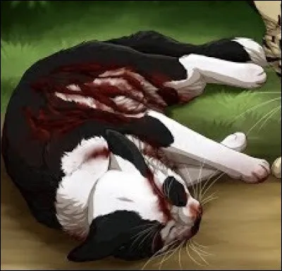 Comment est-elle morte ?