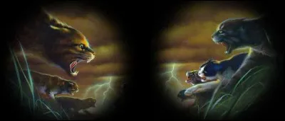 Quel était son mentor quand elle était apprentie guerrière ?