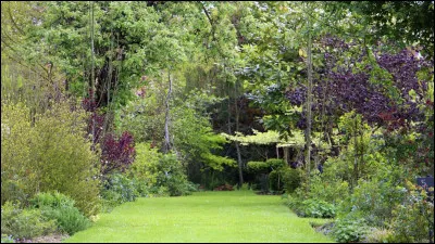 Il est préférable de procéder à l'arrosage de son jardin...