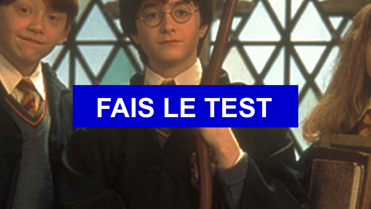 Quelle Serait Ta Vie Dans Harry Potter Test de personnalité Quelle serait ta vie dans la saga Harry Potter ?