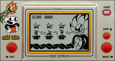 Comment s'appellent les petites consoles portables, avec un jeu unique et au jeu très simpliste, qui ont eu beaucoup de succès dans les années 80 ?