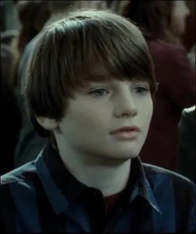 Quel est le nom du deuxième fils de Harry ?