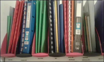 Consacres-tu du temps à tes devoirs/révisions ?