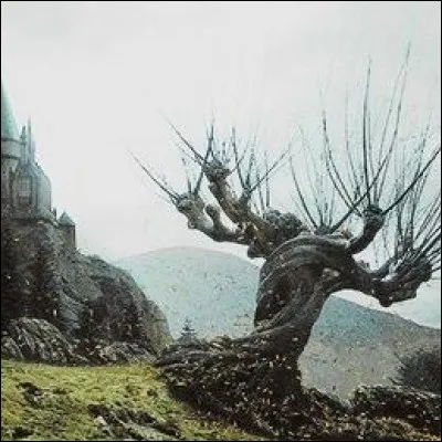 Tu préfères devoir vivre pendant 10 ans :