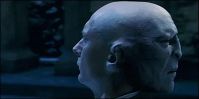 Tu préfères que Voldemort :