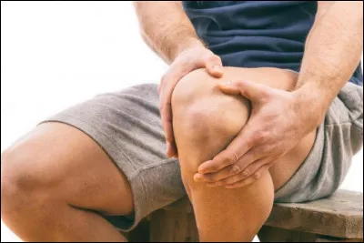 Quel est le seul mammifère à posséder quatre genoux ?