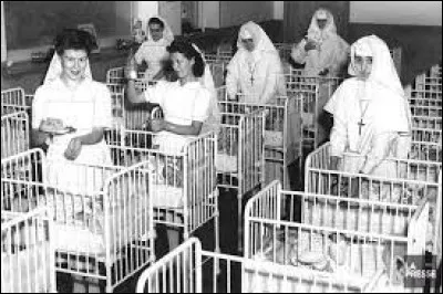 Qu'est-ce que le baby-boom ?