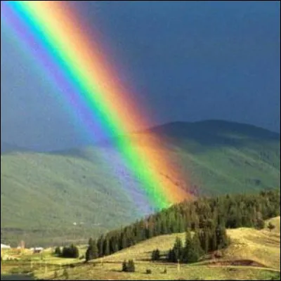 Quelle est ta couleur préférée ?