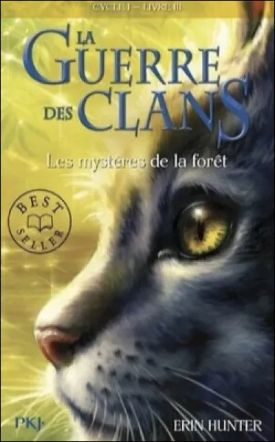 Qui est ce chat sur la couverture de "Les mystères de la forêt" ?