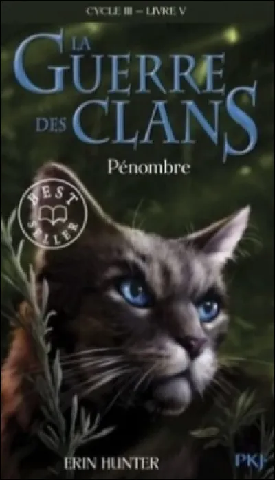 Qui est ce chat sur la couverture de "Pénombre" ?