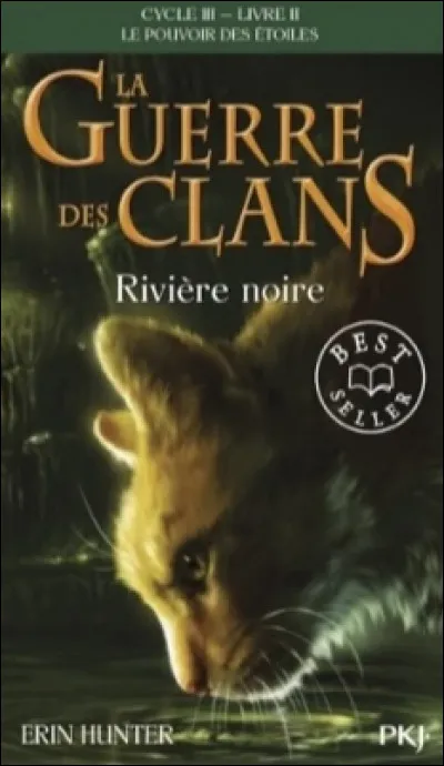 Qui est ce chat sur la couverture de "Rivière noire" ?