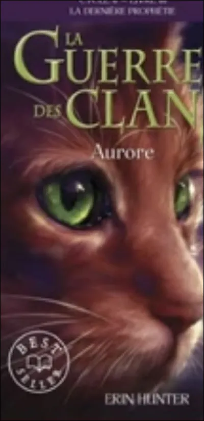 Qui est ce chat sur la couverture d'"Aurore" ?