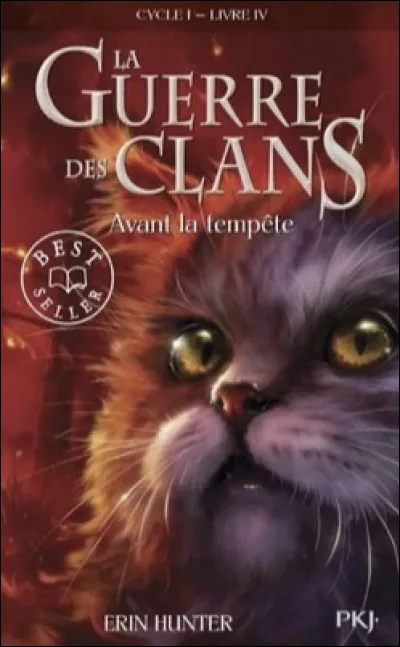 Qui est ce chat sur la couverture d'"Avant la tempête" ?