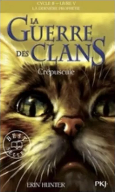 Qui est ce chat sur la couverture de "Crépuscule" ?