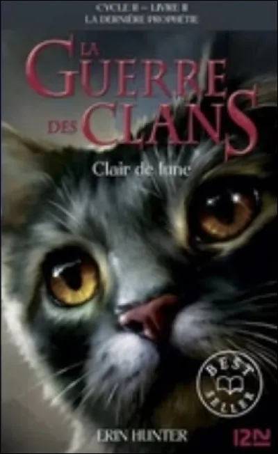 Qui est ce chat sur la couverture de "Clair de Lune" ?