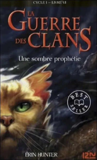 Qui est ce chat sur la couverture de "Une sombre prophétie" ?