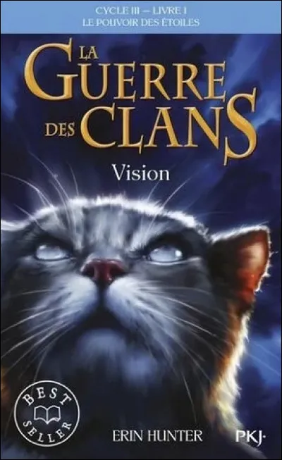 Qui est ce chat sur la couverture de "Vision" ?