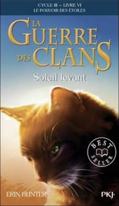 Qui est ce chat sur la couverture de "Soleil levant" ?
