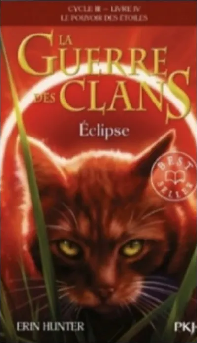 Qui est ce chat sur la couverture de "Éclipse" ?