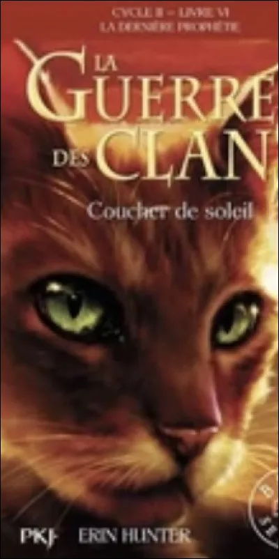 Qui est ce chat sur la couverture de "Coucher de soleil" ?