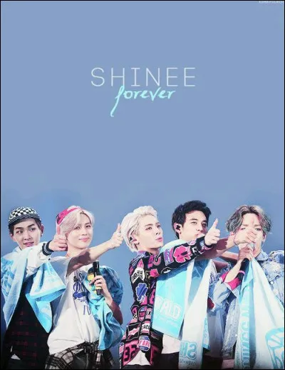 Quel membre trouve-tu le plus musclé ?