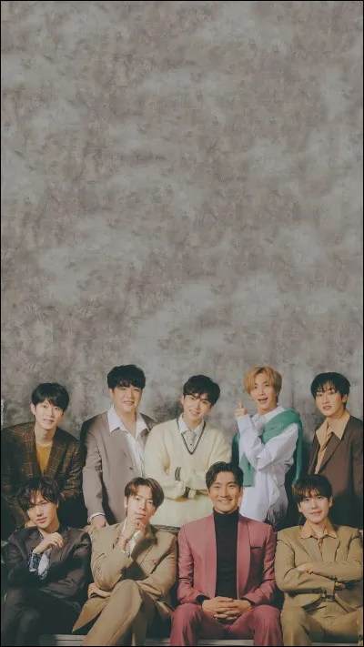 Quel membre verrais-tu intégrer le groupe super junior ?
