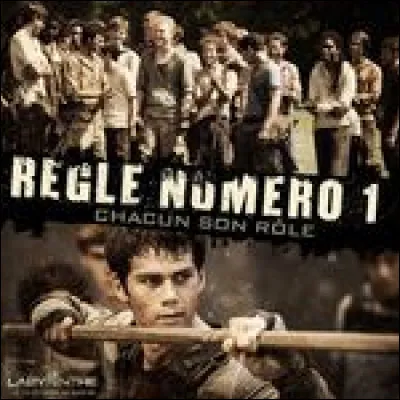 Que penses-tu des 3 règles du Bloc ?