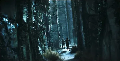 Tu te retrouves enfermé dans le labyrinthe, la nuit ! Comment réagis-tu ?