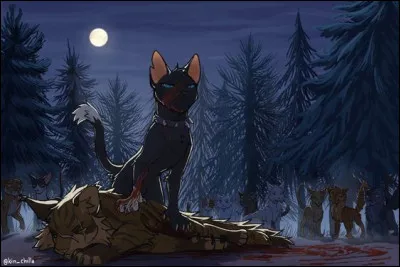 Peu importe ta décision, le chat ennemi finit par te remarquer et t'attaquer. Au cours du combat, tu parviens à prendre l'avantage. Il te révèle alors que les bipèdes ont envahi son territoire et qu'il n'y a plus de gibier là-bas. Il a été obligé de se rendre ici pour nourrir son clan mourant. Que fais-tu ?