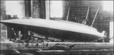 Le champignon pholiote remarquable porte également le nom de...