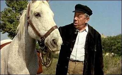 Dans le Manège enchanté, quel nom portait le marchand de sable ?