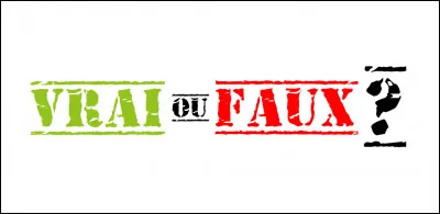 L'animal le plus gros au monde est un éléphant :