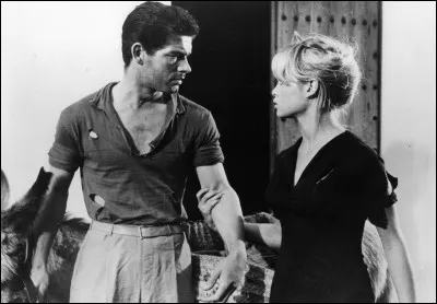 Dans "les Bijoutiers du clair de lune", une jeune fille orpheline, Ursula (Brigitte Bardot), qui sort du couvent se rend en Espagne pour vivre chez son oncle Ribera et sa tante Florentine. Elle y rencontre Lambert (Stephen Boyd) : qui est le r&eacute;alisateur de ce film sorti en 1958 ?