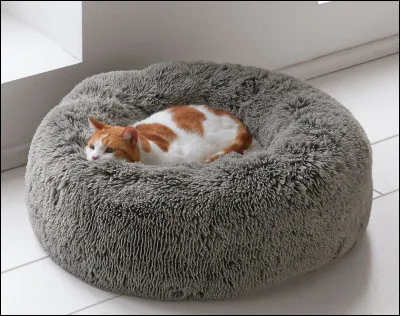 Sur une échelle de 1 à 5, es-tu sûr de vouloir en adopter un ?