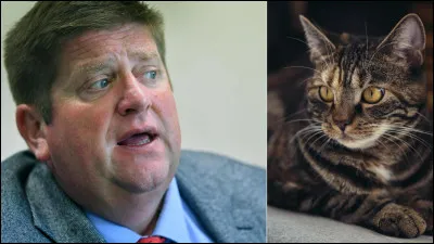 Tu t'es renseigné mais... est-ce que tout le monde veut bien un chat dans ta famille ou dans ton couple ?