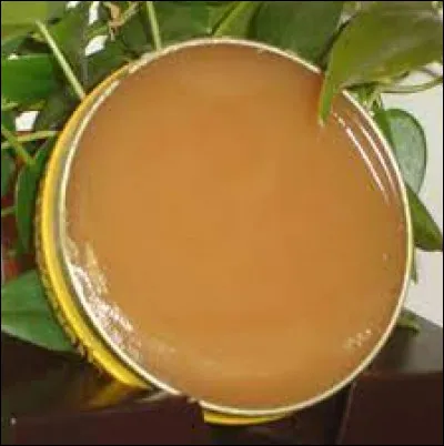 Comment les guérisseurs/guérisseuses utilisent-ils longuent de mille-feuille ?