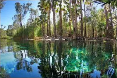 Mataranka Bitter Springs, où cette photo a-t-elle été prise ?