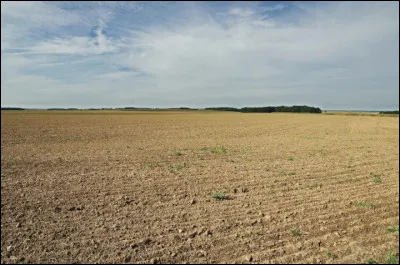 Sa vie, ce sont les bouquins !