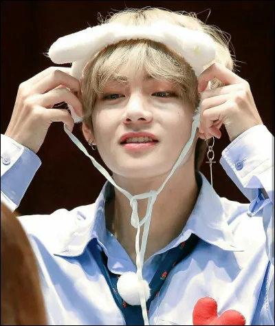 Son plat préféré est :