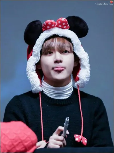 Qui n'aimait pas V au début de la carrière du groupe ?