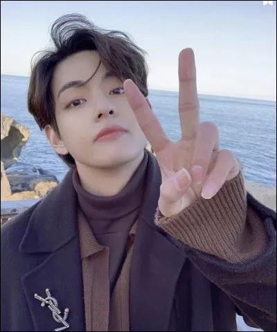 Il aimerait visiter :