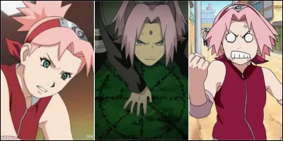 Quel est le métier de Sakura plus tard ?