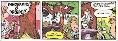 Alors que (481984), astéroïde géocroiseur de type Amor, se retrouve nommé et évoqué par le druide Panoramix (case centrale) : c'est un dieu tutélaire des Gaulois, de la mort et de la renaissance. Qui donc ?