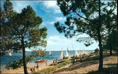 Sur quelle île se trouve le bois de Trousse Chemise chanté par Aznavour ?