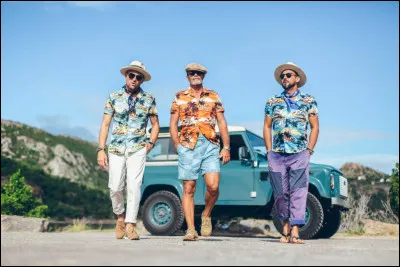 Qui chante "Si je porte des chemises à fleurs c'est que je suis en avance de 2 ou 3 longueurs / Ce n'est qu'une question de saison, les vôtres n'ont encore que des boutons" ?