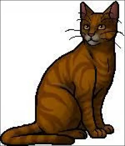 Poil de Fougère a-t-il une ou plusieurs surs ?