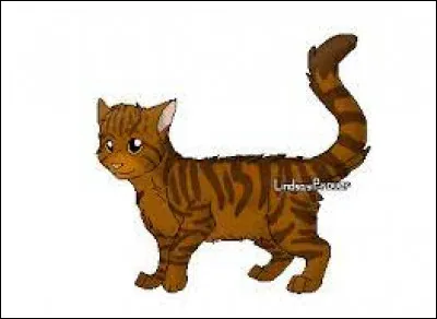 Qui a été son mentor ?