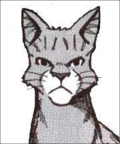 Poil de Fougère a été baptisé, mais à quel âge ?