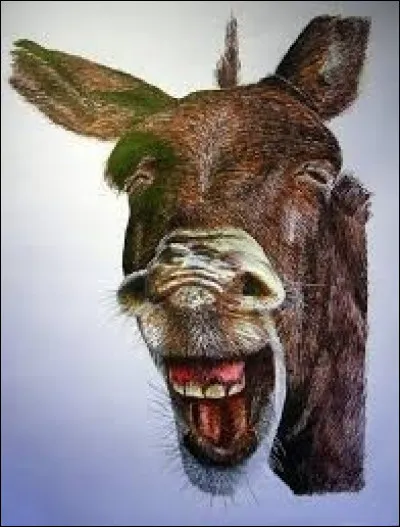 Qu'est qu'une mazarinade ?